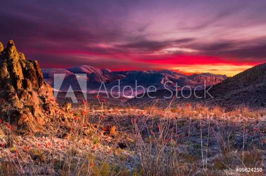 Picture of Big Bend Sunset